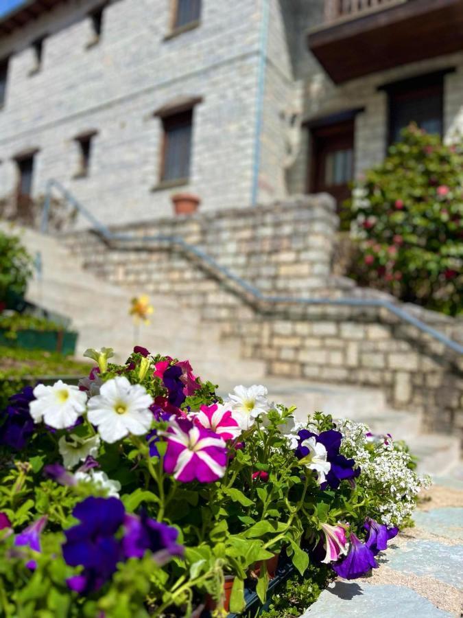 Giagia Evgenia Hotel Vitsa Luaran gambar